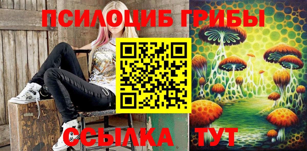 Галлюциногенные грибы Magic Shrooms Черкесск
